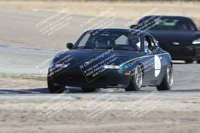 media/Oct-21-2023-Speed Ventures (Sat) [[ddf75163c5]]/Yellow/Grapevine/